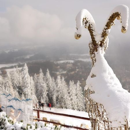 Willa Wygrodzisko Zakopane Exterior foto