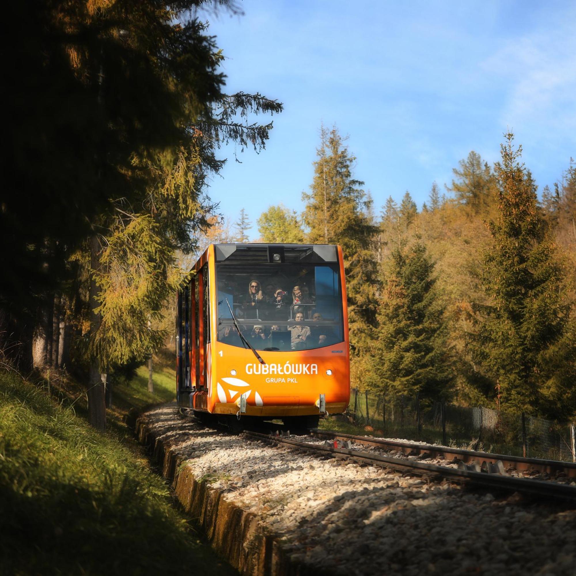 Willa Wygrodzisko Zakopane Exterior foto