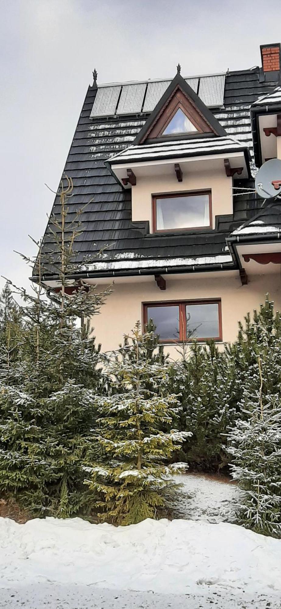 Willa Wygrodzisko Zakopane Exterior foto